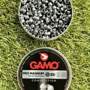 Gamo Pro-Magnum 5.5mm1
