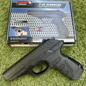 Gamo P-25 Blowback4