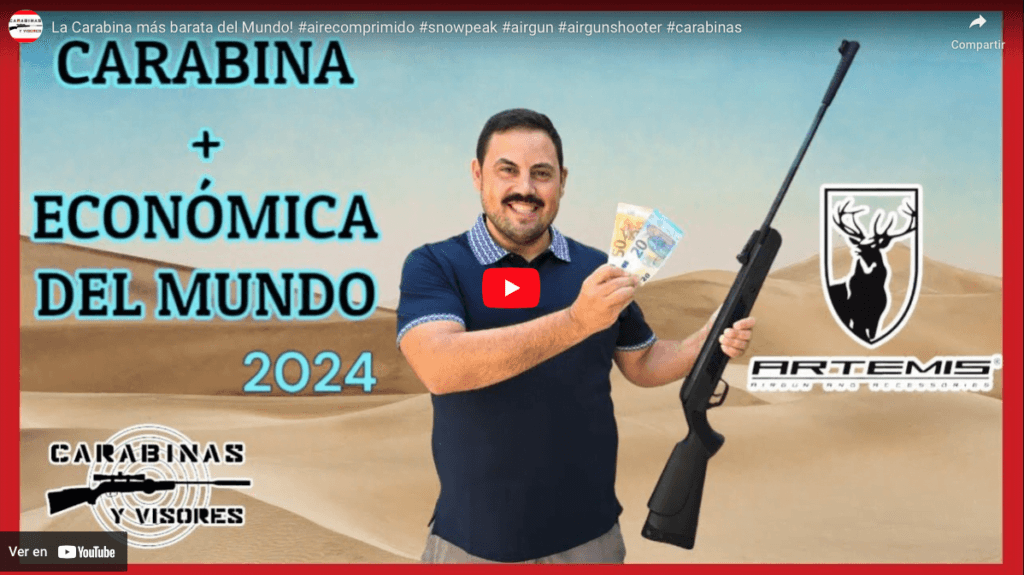 Review Artemis LB600 Carabina